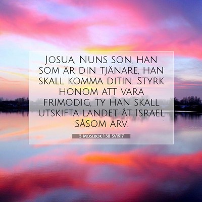 Picture 07 - 5 Mosebok 1:38 SV1917 - Josua, Nuns son, han som är din tjänare, han - Bible Verse Picture