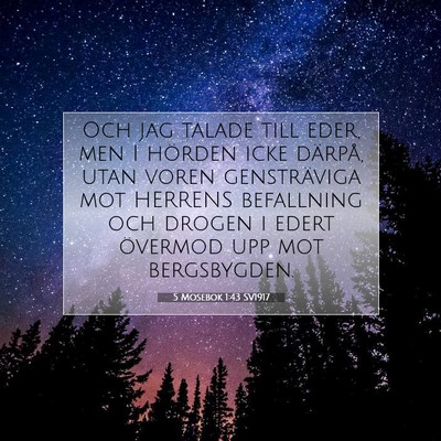 Picture 07 - 5 Mosebok 1:43 SV1917 - Och jag talade till eder, men I hörden icke - Bible Verse Picture