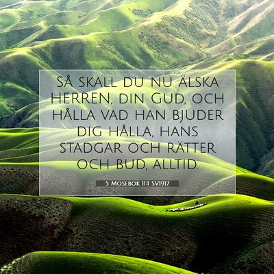 Picture 07 - 5 Mosebok 11:1 SV1917 - Så skall du nu älska HERREN, din Gud, och - Bible Verse Picture