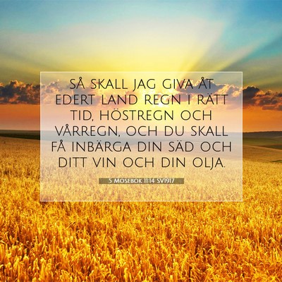 Picture 07 - 5 Mosebok 11:14 SV1917 - så skall jag giva åt edert land regn i rätt - Bible Verse Picture