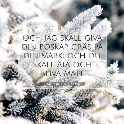 Picture 07 - 5 Mosebok 11:15 SV1917 - Och jag skall giva din boskap gräs på din mark; - Bible Verse Picture