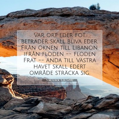 Picture 07 - 5 Mosebok 11:24 SV1917 - Var ort eder fot beträder skall bliva eder. - Bible Verse Picture
