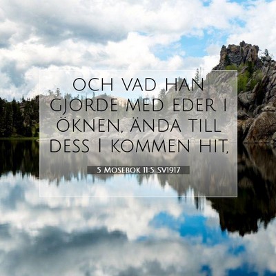 Picture 07 - 5 Mosebok 11:5 SV1917 - och vad han gjorde med eder i öknen, ända till - Bible Verse Picture