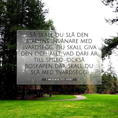 Picture 07 - 5 Mosebok 13:15 SV1917 - så skall du slå den stadens invånare med - Bible Verse Picture