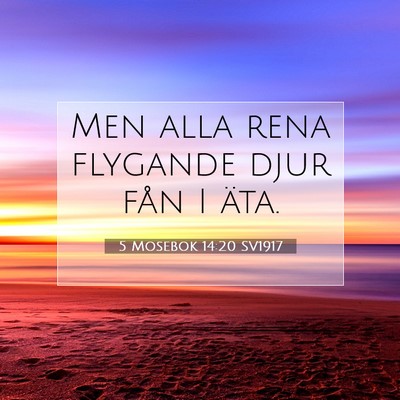 Picture 07 - 5 Mosebok 14:20 SV1917 - Men alla rena flygande djur fån I - Bible Verse Picture