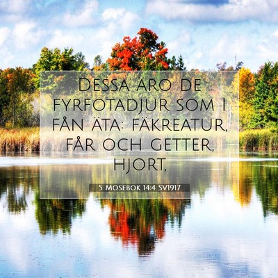 Picture 07 - 5 Mosebok 14:4 SV1917 - Dessa äro de fyrfotadjur som I fån äta: - Bible Verse Picture