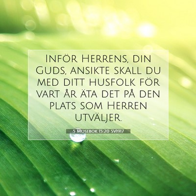 Picture 07 - 5 Mosebok 15:20 SV1917 - Inför Herrens, din Guds, ansikte skall du med - Bible Verse Picture
