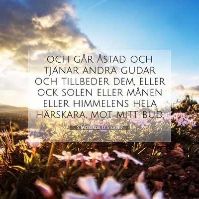 Picture 07 - 5 Mosebok 17:3 SV1917 - och går åstad och tjänar andra gudar och - Bible Verse Picture