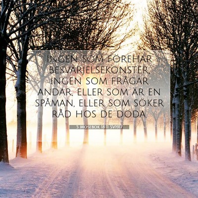 Picture 07 - 5 Mosebok 18:11 SV1917 - ingen som förehar besvärjelsekonster, ingen som - Bible Verse Picture