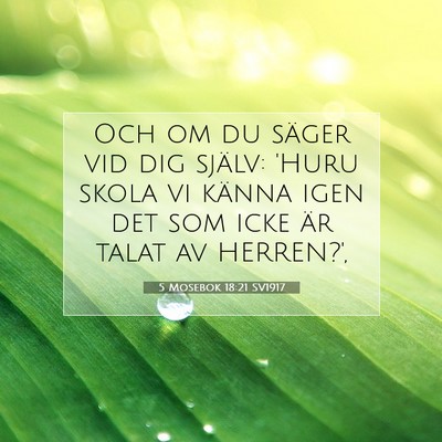 Picture 07 - 5 Mosebok 18:21 SV1917 - Och om du säger vid dig själv: 'Huru skola vi - Bible Verse Picture