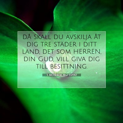 Picture 07 - 5 Mosebok 19:2 SV1917 - då skall du avskilja åt dig tre städer i ditt - Bible Verse Picture