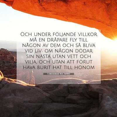 Picture 07 - 5 Mosebok 19:4 SV1917 - Och under följande villkor må en dråpare fly - Bible Verse Picture