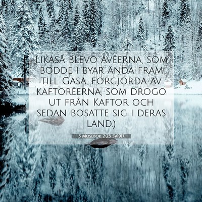 Picture 07 - 5 Mosebok 2:23 SV1917 - Likaså blevo avéerna, som bodde i byar ända - Bible Verse Picture