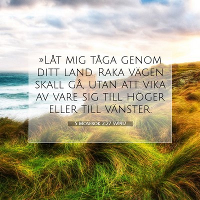 Picture 07 - 5 Mosebok 2:27 SV1917 - »Låt mig tåga genom ditt land. Raka vägen - Bible Verse Picture