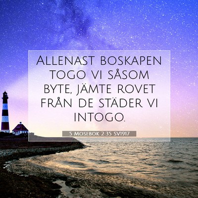 Picture 07 - 5 Mosebok 2:35 SV1917 - Allenast boskapen togo vi såsom byte, jämte - Bible Verse Picture