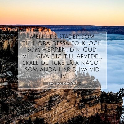 Picture 07 - 5 Mosebok 20:16 SV1917 - Men i de städer som tillhöra dessa folk, och - Bible Verse Picture