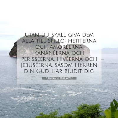 Picture 07 - 5 Mosebok 20:17 SV1917 - utan du skall giva dem alla till spillo: - Bible Verse Picture