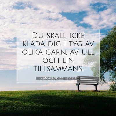 Picture 07 - 5 Mosebok 22:11 SV1917 - Du skall icke kläda dig i tyg av olika garn, av - Bible Verse Picture