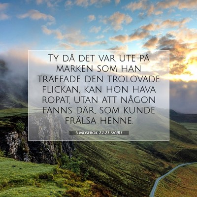 Picture 07 - 5 Mosebok 22:27 SV1917 - Ty då det var ute på marken som han träffade - Bible Verse Picture