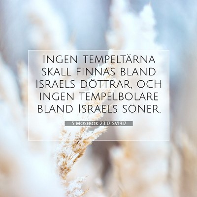 Picture 07 - 5 Mosebok 23:17 SV1917 - Ingen tempeltärna skall finnas bland Israels - Bible Verse Picture