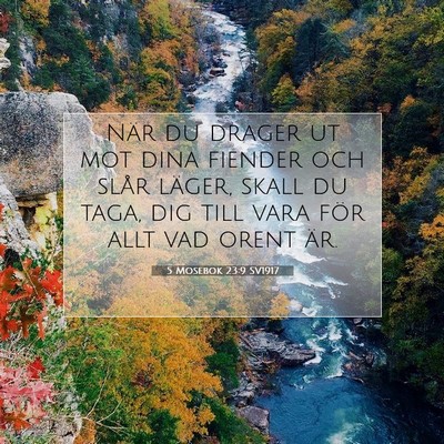 Picture 07 - 5 Mosebok 23:9 SV1917 - När du drager ut mot dina fiender och slår - Bible Verse Picture