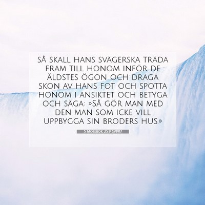 Picture 07 - 5 Mosebok 25:9 SV1917 - så skall hans svägerska träda fram till honom - Bible Verse Picture