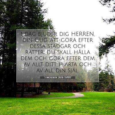 Picture 07 - 5 Mosebok 26:16 SV1917 - I dag bjuder dig HERREN, din Gud, att göra efter - Bible Verse Picture