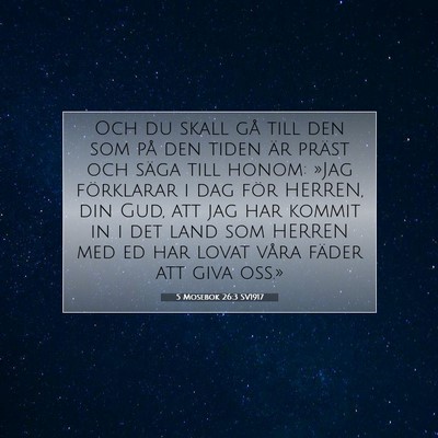 Picture 07 - 5 Mosebok 26:3 SV1917 - Och du skall gå till den som på den tiden är - Bible Verse Picture