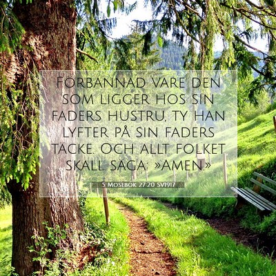 Picture 07 - 5 Mosebok 27:20 SV1917 - Förbannad vare den som ligger hos sin faders - Bible Verse Picture