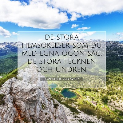 Picture 07 - 5 Mosebok 29:3 SV1917 - de stora hemsökelser som du med egna ögon såg, - Bible Verse Picture