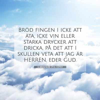 Picture 07 - 5 Mosebok 29:6 SV1917 - Bröd fingen I icke att äta, icke vin eller - Bible Verse Picture