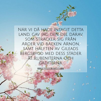 Picture 07 - 5 Mosebok 3:12 SV1917 - När vi då hade intagit detta land, gav jag den - Bible Verse Picture