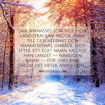 Picture 07 - 5 Mosebok 3:14 SV1917 - Jair, Manasses son, fick hela landsträckan - Bible Verse Picture