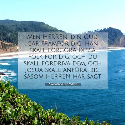 Picture 07 - 5 Mosebok 31:3 SV1917 - Men HERREN, din Gud, går framför dig; han skall - Bible Verse Picture