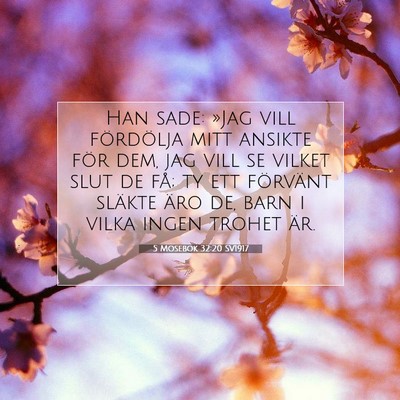 Picture 07 - 5 Mosebok 32:20 SV1917 - Han sade: »Jag vill fördölja mitt ansikte för - Bible Verse Picture