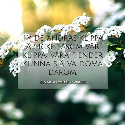 Picture 07 - 5 Mosebok 32:31 SV1917 - Ty de andras klippa är icke såsom vår klippa; - Bible Verse Picture