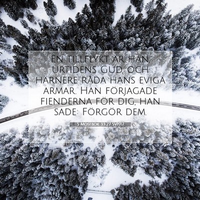 Picture 07 - 5 Mosebok 33:27 SV1917 - En tillflykt är han, urtidens Gud, och härnere - Bible Verse Picture