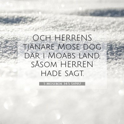 Picture 07 - 5 Mosebok 34:5 SV1917 - Och HERRENS tjänare Mose dog där i Moabs land, - Bible Verse Picture