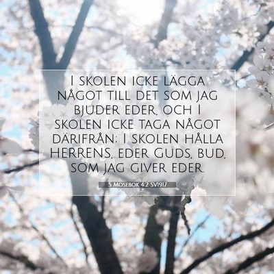 Picture 07 - 5 Mosebok 4:2 SV1917 - I skolen icke lägga något till det som jag - Bible Verse Picture