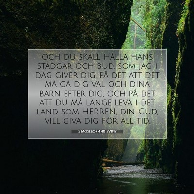 Picture 07 - 5 Mosebok 4:40 SV1917 - och du skall hålla hans stadgar och bud, som jag - Bible Verse Picture