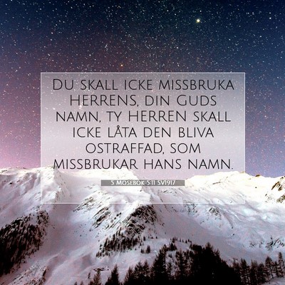 Picture 07 - 5 Mosebok 5:11 SV1917 - Du skall icke missbruka HERRENS, din Guds namn, - Bible Verse Picture