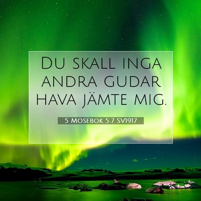 Picture 07 - 5 Mosebok 5:7 SV1917 - Du skall inga andra gudar hava jämte - Bible Verse Picture