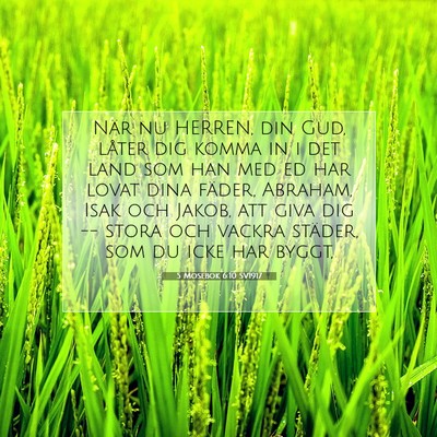 Picture 07 - 5 Mosebok 6:10 SV1917 - När nu HERREN, din Gud, låter dig komma in i - Bible Verse Picture