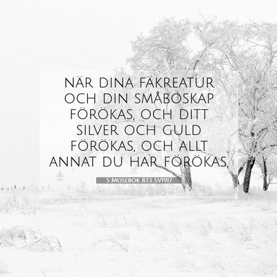 Picture 07 - 5 Mosebok 8:13 SV1917 - när dina fäkreatur och din småboskap - Bible Verse Picture