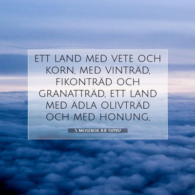 Picture 07 - 5 Mosebok 8:8 SV1917 - ett land med vete och korn, med vinträd, - Bible Verse Picture