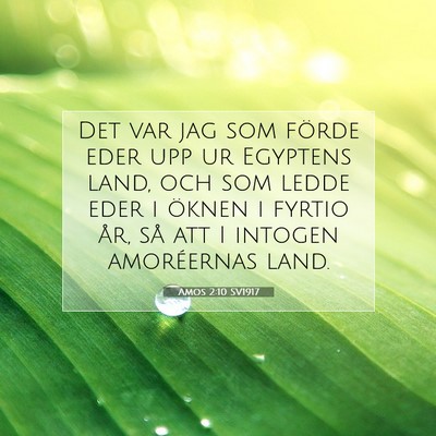 Picture 07 - Amos 2:10 SV1917 - Det var jag som förde eder upp ur Egyptens land, - Bible Verse Picture