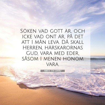 Picture 07 - Amos 5:14 SV1917 - Söken vad gott är, och icke vad ont är, på - Bible Verse Picture