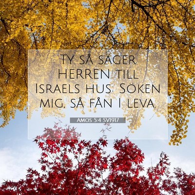 Picture 07 - Amos 5:4 SV1917 - Ty så säger HERREN till Israels hus: Söken - Bible Verse Picture