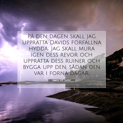 Picture 07 - Amos 9:11 SV1917 - På den dagen skall jag upprätta Davids - Bible Verse Picture