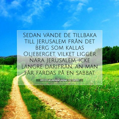 Picture 07 - Apostlagärningarna 1:12 SV1917 - Sedan vände de tillbaka till Jerusalem från det - Bible Verse Picture